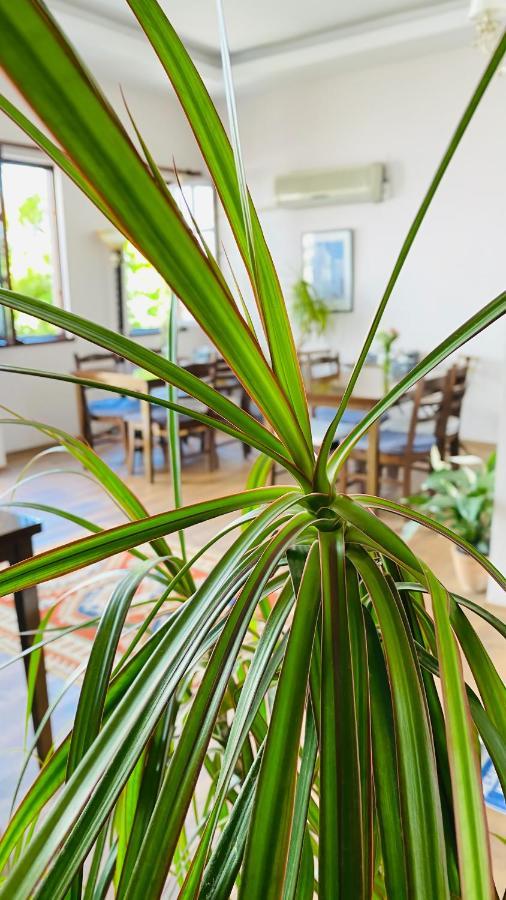Kaleici Hotel Antalya Luaran gambar