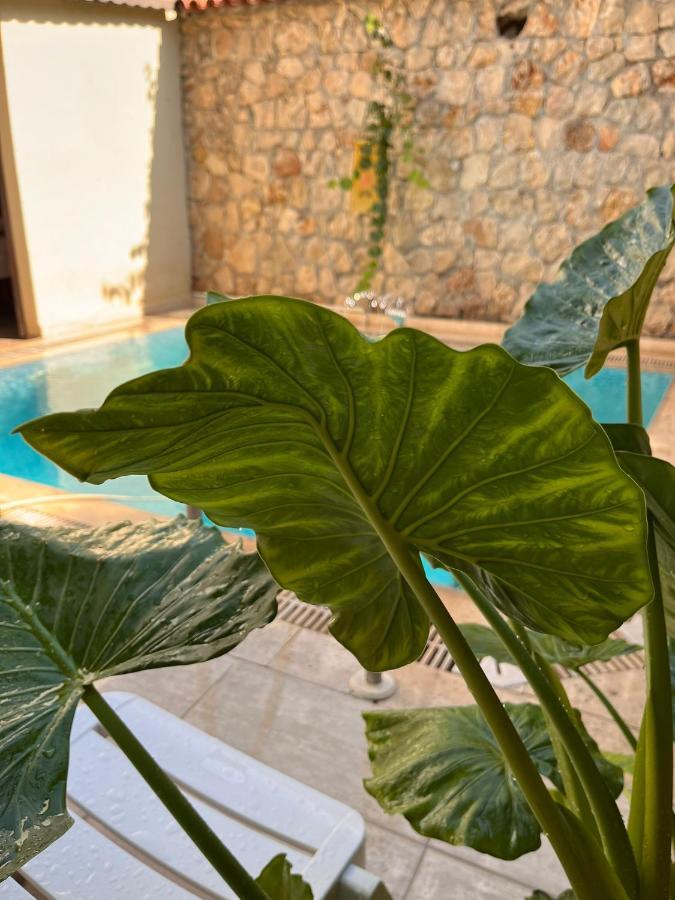 Kaleici Hotel Antalya Luaran gambar
